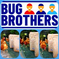 Bug Brothers aus Bonn